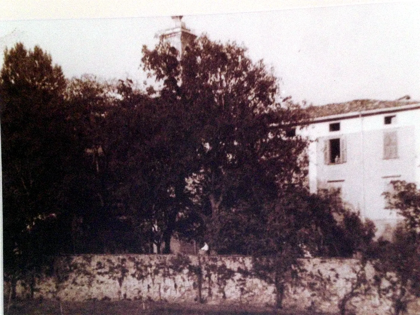 Das Haus auf einer historischen Fotografie, zwischen Bäumen